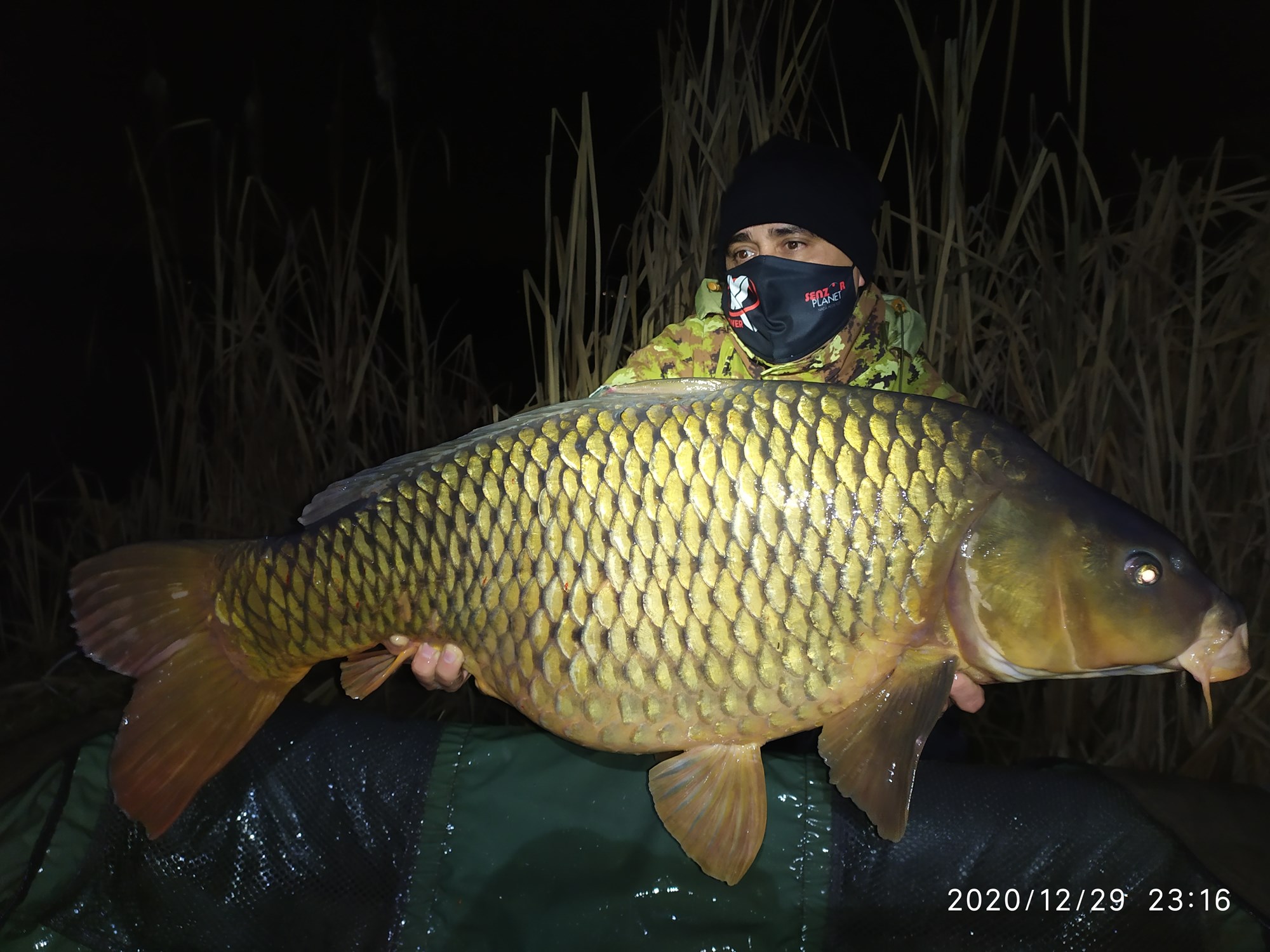 ISOLA DEL PESCATORE 29 - 30 decembrie 2020 - IMG20201229231623.jpg